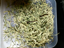 北京同仁堂胖東來野生金銀花茶500g特級散裝清火消火野生養(yǎng)生茶葉中藥材泡茶 精選品質(zhì)250克金銀花茶【共2罐】 曬單實拍圖