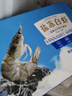 GUO LIAN國聯(lián)生鮮鹽凍大蝦 去冰凈重3斤 73-90只 盒裝活凍 海鮮海產(chǎn)冷凍蝦 曬單實拍圖