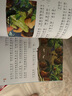 宮西達(dá)也恐龍系列繪本 你看起來(lái)好像很好吃我是霸王龍遇到你真好兒童繪本2-3-4-5-6歲幼兒園故事書(shū)恐龍系列 你看起來(lái)好像很好吃·失蹤的小甲龍 曬單實(shí)拍圖