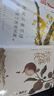 2025上榜好書 長安的荔枝 馬伯庸 見微系列代表作 歷史短篇小說書籍暢銷正版 2025央視重磅推薦的6本人生之書 無規(guī)格 曬單實拍圖