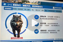 儒遇 ppt制作代做定制修改美化述職報(bào)告PPT總結(jié)匯報(bào)路演課件定制工作幻燈片排版美化宣傳產(chǎn)品設(shè)計(jì) 有資料動(dòng)態(tài) 曬單實(shí)拍圖