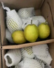 京鮮生 新疆庫爾勒香梨 凈重5斤 單果100g-120g 新鮮水果 源頭直發(fā) 曬單實拍圖