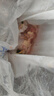 額爾敦去骨后腿肉包 內(nèi)蒙古錫盟草原羔羊 清真羊肉 火鍋 烤肉羊肉串食材 羔羊去骨后腿肉 2斤 曬單實拍圖