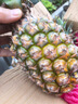 海南金鉆鳳梨新鮮水果5斤當季香水菠蘿大手撕鳳梨無(wú)眼樹(shù)上熟整箱9 1個(gè)裝 曬單實(shí)拍圖