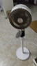 創(chuàng)維【全屋驅(qū)蚊】空氣循環(huán)扇家用電風(fēng)扇落地扇2025新款大風(fēng)量語音遙控輕音節(jié)能臥室小風(fēng)扇Q522 白咖色 曬單實(shí)拍圖