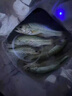 2025新款組主線成品主線組魚線套裝釣魚線組全套漁具用品大全 2.7米-雙鉤綁好【3卷】 主線1.0#+子線1.0#+鉤1# 曬單實(shí)拍圖