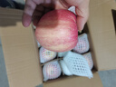 洛川蘋果陜西延安特產(chǎn)紅富士時令蘋果水果禮盒送蘋果生鮮新鮮脆甜整箱批發(fā) 凈重8.5斤80-85mm 鉑金大果脆甜 曬單實拍圖