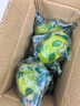 香水檸檬新鮮水果海南無(wú)籽青檸檬水果奶茶店專用 海南香水檸檬帶箱1斤單果60g起 曬單實(shí)拍圖