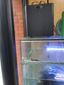 奧凌恒業(yè)奧凌冷水機(jī)水族箱降溫機(jī)魚缸降溫制冷器淡水海水制冷壓縮機(jī)水冷機(jī) AL-300+水管+水泵 300L以內(nèi)水體 曬單實拍圖