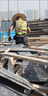 安全帽遮陽防曬帽檐草帽圈通用防曬無頂夏建筑工地施工帽沿防曬帽 寬42CM【掛鉤+固定帶+松緊帶】 曬單實拍圖