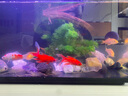 當(dāng)貝智能生態(tài)魚缸1Ultra 一體缸自循環(huán)魚缸+希騰聚財(cái)山造景套餐 曬單實(shí)拍圖