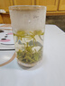 盧正浩2025新茶綠茶梅字西湖龍井茶特級(jí)150g明前冷泡茶葉紙包禮盒送禮 曬單實(shí)拍圖