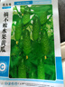 一播大地 水果黃瓜 黃瓜菜籽翠綠黃瓜四季種植蔬菜種子陽(yáng)臺(tái)種菜 盆栽 易種 摘不敗水果黃瓜種原裝3g 曬單實(shí)拍圖
