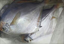 新鮮銀鯧魚 野生海捕銀鯧魚鮮活速凍冰鮮新鮮速凍鯧魚一整箱 1斤新鮮野生銀鯧魚 4-5條左右/斤 曬單實拍圖