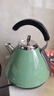 摩飛電器（Morphyrichards） 家用電熱水壺進(jìn)口304不銹鋼大容量燒水壺 MR7456A 1.5L 綠色 曬單實(shí)拍圖