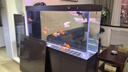 魚意坊客廳魚缸帶柜子一體大型1.5米超白玻璃龍魚缸底濾家用生態(tài)水族箱 純色（聯(lián)系客服選顏色） x*x*x cm（長(zhǎng)/寬/高,定制） 曬單實(shí)拍圖