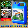 魚缸除藻去苔劑綠藻青苔一次凈清除劑專用綠水褐藻絲黑毛藻凈水劑 【5L】生態(tài)除藻王 曬單實(shí)拍圖