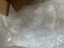 派樂特 細(xì)菌屋益菌屋魚缸過濾材料水族箱養(yǎng)魚凈水培養(yǎng)硝化菌配件用品 曬單實(shí)拍圖
