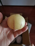 京鮮生 云南石林人參果 凈重3斤 單果100g+  生鮮水果源頭直發(fā)包郵 曬單實(shí)拍圖