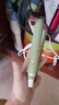 lena夾板卷發(fā)棒迷你劉海夾板便攜 小型直板夾不傷發(fā)卷直兩用 mini熨板直發(fā)卷發(fā) 學(xué)生宿舍可用 LN-H3綠 【便攜夾板】植物蛋白護(hù)發(fā)涂層 曬單實拍圖