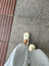 三福外穿萌趣多款一字拖 清新創(chuàng  )意家居生活拖鞋洞洞鞋841190 古早風(fēng)白色-誠 35 曬單實(shí)拍圖