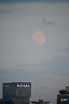 騰龍（Tamron）A057Z 150-500mm F/5-6.7 Di III VC VXD防抖 拍鳥體育超長焦尼康全畫幅微單鏡頭(尼康Z卡口) 曬單實拍圖