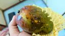 三萌果蔬廣西金煌芒芒果新鮮水果當(dāng)季水仙芒青皮大芒果時(shí)令孕婦整箱批發(fā) 5斤老樹(shù)果【單果200g+】 凈4.5斤 曬單實(shí)拍圖
