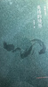 譯家之言 英詩(shī)的境界 收錄翻譯大家英漢互譯畢生心得 翻譯理論與實(shí)踐 王佐良 曬單實(shí)拍圖