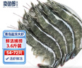 賣魚郎先生青島鹽凍大蝦凈重3.6斤 15-20只/斤 白蝦大蝦基圍蝦生鮮 蝦類 曬單實(shí)拍圖
