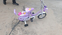 阿米達兒童自行車(chē)女孩單車(chē)2-3-6-10歲公主款腳踏車(chē)男女小孩學(xué)生童車(chē)禮物 高配紫 【加固車(chē)身+大禮包】 12寸適合身高80-105cm 曬單實(shí)拍圖