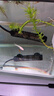 京業(yè)JINGYE 魚缸多功能過濾器JY-6000F款4W 魚缸水泵過濾桶氧氣量可調(diào) 曬單實拍圖