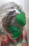 有機(jī)匯 有機(jī)甜菜根 紅菜頭 榨汁營養(yǎng)療愈有機(jī)蔬菜 零農(nóng)殘 健康放心吃 1000g 曬單實(shí)拍圖