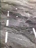 揚星瓷磚拋光蠟大理石打蠟拋光地磚石英石地面護理劑上光地板蠟增亮劑 拋光蠟【1500ML+噴壺】去污除垢 曬單實拍圖