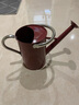 沃施澆水壺長(cháng)嘴壺灑水器大號鐵質(zhì)加厚園藝家用澆花澆菜花園澆水神器 酒紅色 4.5L 曬單實(shí)拍圖