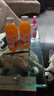 【熱銷暢飲】沙棘汁整箱6瓶果汁飲品360ml大瓶沙棘風(fēng)味飲料夏季 360ml*2瓶 曬單實拍圖