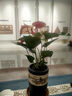 繽賢紅掌盆栽綠植花卉鴻運(yùn)當(dāng)頭白掌一帆風(fēng)順室內(nèi)好養(yǎng)活四季開花水培 特級(jí)大號(hào)紅掌2株原盆+肥料 #28 曬單實(shí)拍圖