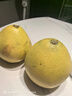 京鮮生 云南傣柚1粒裝 單果600g+ 生鮮水果 源頭直發(fā)包郵 曬單實(shí)拍圖