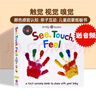 觸覺視覺嗅覺感官認知 英文原版繪本 See, Touch, Feel: A First Sensory Book 低幼兒童早教啟蒙繪本 親子互動游戲書 內(nèi)附小鏡子 曬單實拍圖