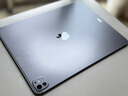 Apple/蘋果 iPad Pro13英寸M4芯片 2024年新款平板電腦(256G WLAN版/MVX23CH/A)深空黑色 曬單實拍圖