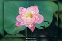 松下S5M2+（50mm F1.8） 白盒單鏡頭定焦套裝  全畫幅微單相機(jī) 約2420萬(wàn)有效像素 新相位混合對(duì)焦 曬單實(shí)拍圖