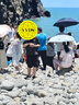 Converse匡威兒童裝男童短褲2025夏季新款中大童女童休閑運(yùn)動(dòng)褲子五分褲 正黑色 160 /66 【建議身高152-158cm】 曬單實(shí)拍圖