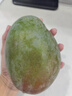 廣西金煌芒新鮮芒果10斤當(dāng)季熱帶水果大青芒超大特大水仙芒果包郵 9斤 【特大果】單果500g+丨不甜包賠 曬單實(shí)拍圖