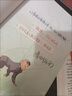 天宇定制贈品 正版 奇洛李維斯回信 清明谷雨 一本完結(jié)新增番外 趙聲閣x陳挽 青春文學愛情港風酸澀小說實體書籍 印特簽+A版贈品 曬單實拍圖