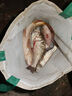 進口加粗絲三層沉網(wǎng)浮網(wǎng)粘網(wǎng)草魚鯉魚鰱鳙大魚網(wǎng)水庫掛網(wǎng)捕魚漁網(wǎng) 50米長三層沉網(wǎng) 1.5米高4指加粗0.2絲 曬單實拍圖