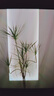 耳曼采耳 精油SPA·奢華漫柔按摩·120分鐘·茶點(diǎn)暢享 曬單實(shí)拍圖