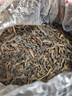 班章醇老班章冰島普洱茶熟茶十年以上云南古樹散裝口糧茶葉自己喝送禮 【老班章金芽特級】500克*1袋 曬單實拍圖
