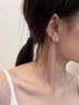 戚小米韓國夸張耳環(huán)女款耳釘2025款潮氣質(zhì)耳墜網(wǎng)紅個(gè)性高級感耳飾品 氣質(zhì)耳釘一對 曬單實(shí)拍圖