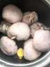 羊食光草原散養(yǎng)甘肅乳羔羊肚包肉新鮮羊肉腸羊肚網(wǎng)紅羊肚包肉凈重2斤 肚包肉2斤 曬單實拍圖