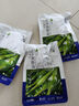 小海故事 鹽漬海帶苗凈含量200g*3袋 源頭直發(fā) 霞浦頭水嫩苗 涼拌涮湯火鍋 曬單實拍圖
