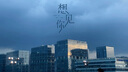 思莉太太 SLEEP TIGHT睡裙女款2025新款帶胸墊夏季冰絲短袖方領(lǐng)法式輕奢風(fēng)夏天睡衣裙子 WZT05696【帶胸墊】 L (165) 曬單實拍圖